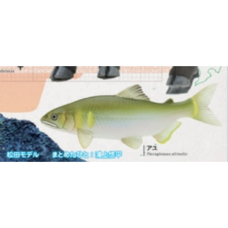 Japón Ikimon Gashapon cápsula  - Capsule Toy Gashapon reseña y precio